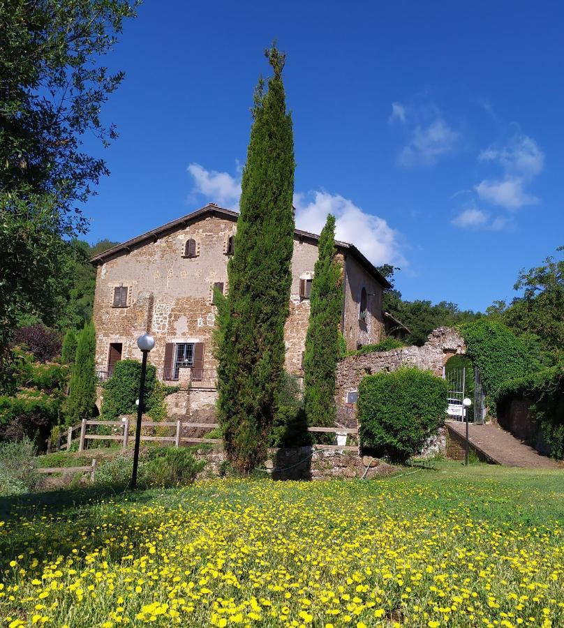 B&B Il Giardino Del Borgo Veiano Ngoại thất bức ảnh