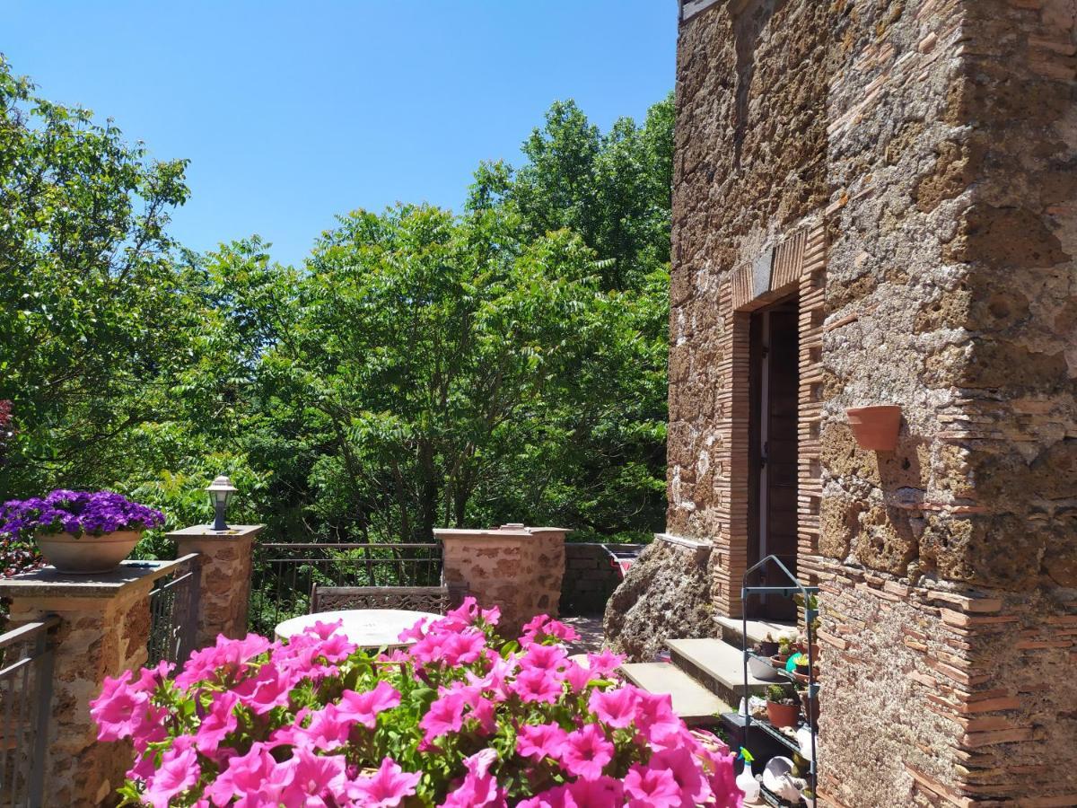 B&B Il Giardino Del Borgo Veiano Ngoại thất bức ảnh